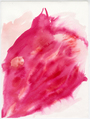 Alice Musiol, Tier, 2015, Red ink on paper, 40 x 30 cm, Photo: setform.de, 