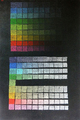 Alexei Kostroma, FNP. SPECTRAL SCALE, 2002, Tempera on canvas, 60 x 40 cm, Photo: Archive, 