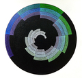 Alexei Kostroma, FNP. The Spiral-Driven Development of Color. Part 1., 2002, Tempera on MDF, 40 x 40 cm, Photo: Archive, 