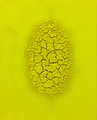 Alexei Kostroma, YELLOW EARTH 14:03, 2016, Organic yellow lemon pigment on canvas, 50 x 40 cm, Photo: Archive, 