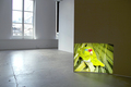 PANORAMING, Installation View, Photo: Lou Marcellin
