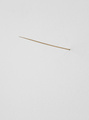 Fernanda Gomes, Untitled, 2009, Golden needle, 24 carat, 6,5 cm, , 