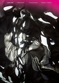 ROBERT SEIDEL, Tearing Shadows, 2013, Poster Edition of 50, 59,4 x 42 cm, , 