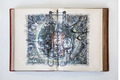 Thomas Feuerstein, Aquarius, 2013, Mixing technique on paper, 41 x 56 cm, framed, Photo: Archive, 