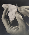 Alexandra Baumgartner, Control, 2014, Collage, 27 x 23 cm, unframed, Photo: Archive, 
